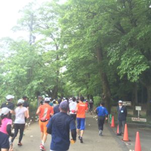 Gifu Seiryu Half Marathon 2016