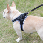 Comfort Dog Harness and Leash set