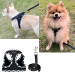 Comfort Dog Harness and Leash set