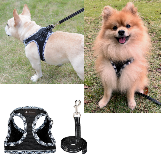 Comfort Dog Harness and Leash set