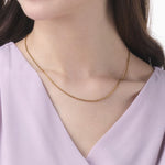 Phiten Titanium Chain Necklace Gold IP (Adzuki)