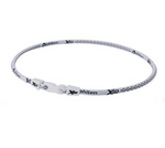 X50 Phiten Titanium Necklace